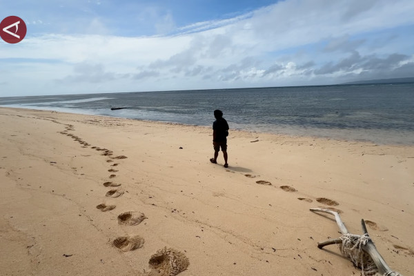 Menelusuri Keindahan Wakatobi: Pantai Kampa dan Tadu Sangia